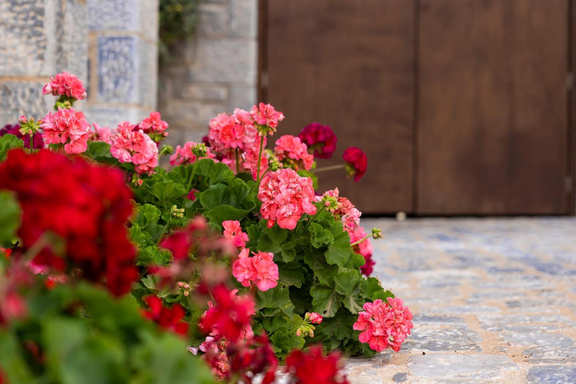 Manifest Boutique Hotel Oítilon Dış mekan fotoğraf